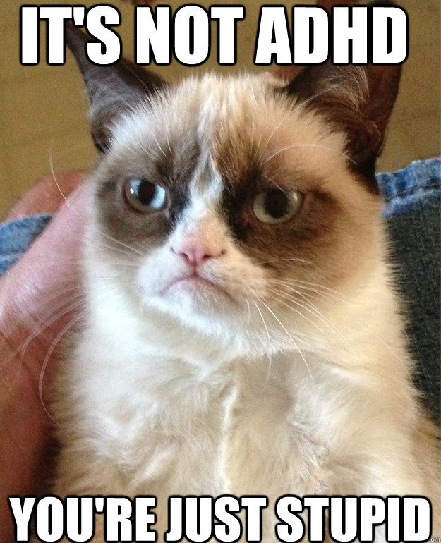 It's not ADHD You're just stupid - It's not ADHD You're just stupid  Misc
