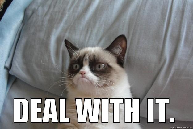  DEAL WITH IT. Grumpy Cat