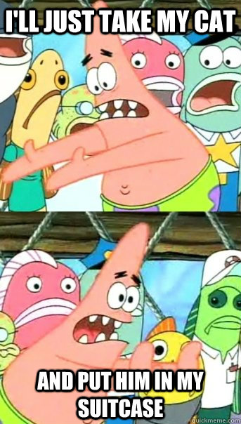 I'LL JUST TAKE MY CAT AND PUT HIM IN MY SUITCASE  Push it somewhere else Patrick