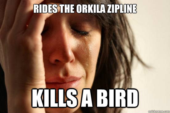 Rides the orkila zipline kills a bird  First World Problems