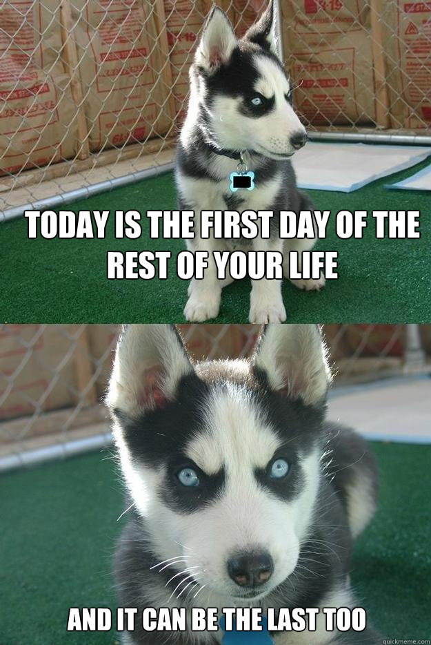 TODAY IS THE FIRST DAY OF THE REST OF YOUR LIFE AND IT CAN BE THE LAST TOO  Insanity puppy