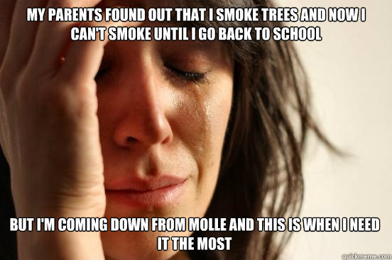 My parents found out that i smoke trees and now i can't smoke until i go back to school but I'm coming down from molle and this is when i need it the most  First World Problems
