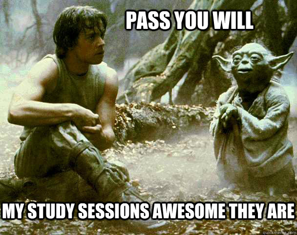 PASS You will my study sessions awesome they are  Yoda Weed