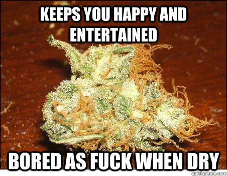 Keeps you happy and entertained Bored as fuck when dry - Keeps you happy and entertained Bored as fuck when dry  Scumbag Trees
