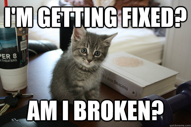 I'm getting fixed? Am i broken? - I'm getting fixed? Am i broken?  fixed kitten