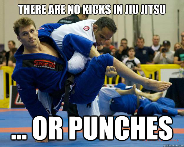 There are no kicks in Jiu Jitsu ... Or punches  Ridiculously Photogenic Jiu Jitsu Guy