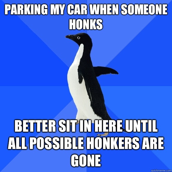 Parking my car when someone honks Better sit in here until all possible honkers are gone  Socially Awkward Penguin