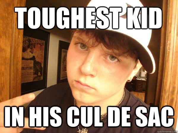 toughest kid
 in his cul de sac  Suburban Gangster