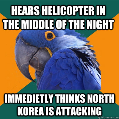 Hears helicopter in the middle of the night immedietly thinks north korea is attacking  Paranoid Parrot