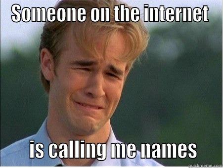 SOMEONE ON THE INTERNET      IS CALLING ME NAMES    1990s Problems