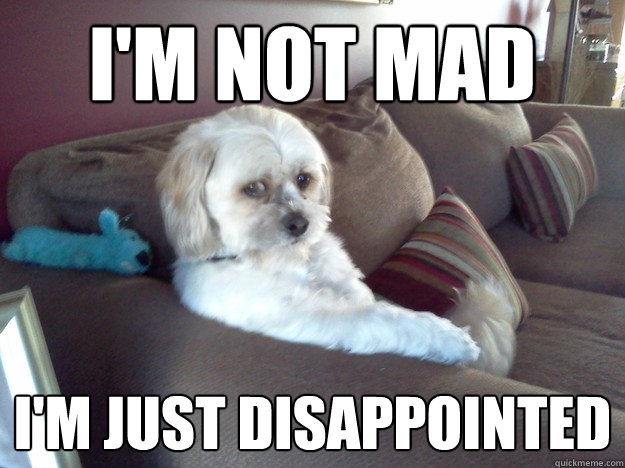 i'm not mad i'm just disappointed - i'm not mad i'm just disappointed  Disappointed Doggy