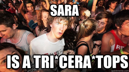 sara is a tri*cera*tops  Sudden Clarity Clarence