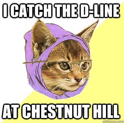 I catch the d-line at chestnut hill  Hipster Kitty