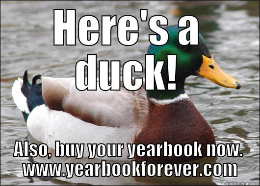 HERE'S A DUCK! ALSO, BUY YOUR YEARBOOK NOW.  WWW.YEARBOOKFOREVER.COM Actual Advice Mallard