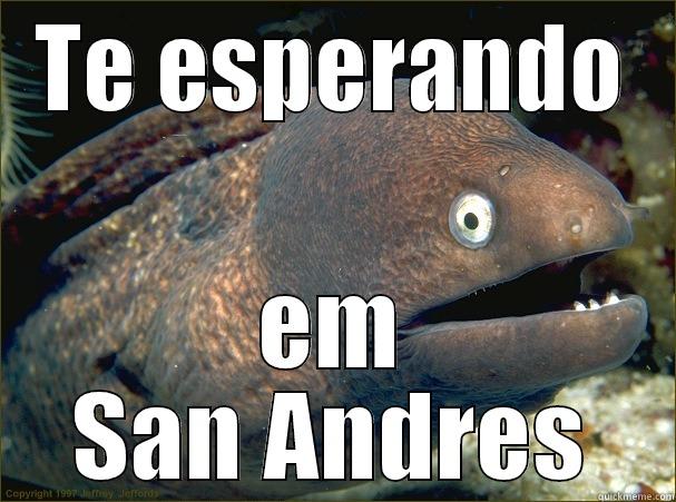 TE ESPERANDO EM SAN ANDRES Bad Joke Eel