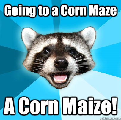 Going to a Corn Maze A Corn Maize!  Lame Pun Coon