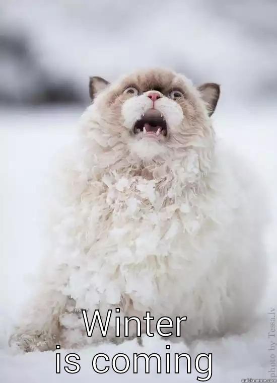  WINTER IS COMING First World Problems