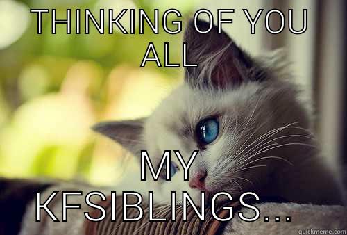 THINKING OF YOU ALL MY KFSIBLINGS...  First World Problems Cat