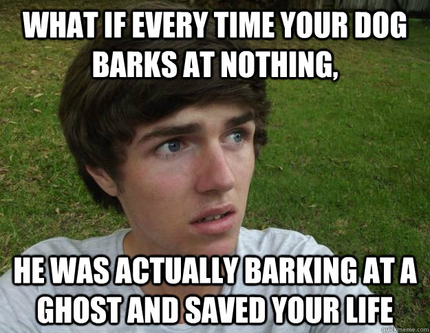 what if every time your dog barks at nothing, he was actually barking at a ghost and saved your life  