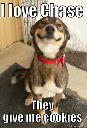 I LOVE CHASE  THEY GIVE ME COOKIES Good Dog Greg