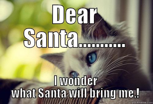 DEAR SANTA........... I WONDER WHAT SANTA WILL BRING ME.! First World Problems Cat