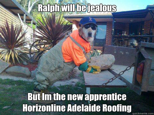 Ralph will be jealous But Im the new apprentice
Horizonline Adelaide Roofing - Ralph will be jealous But Im the new apprentice
Horizonline Adelaide Roofing  roofing dog