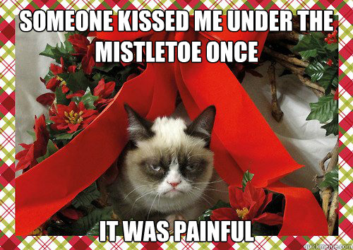 Someone kissed me under the mistletoe once it was painful  A Grumpy Cat Christmas