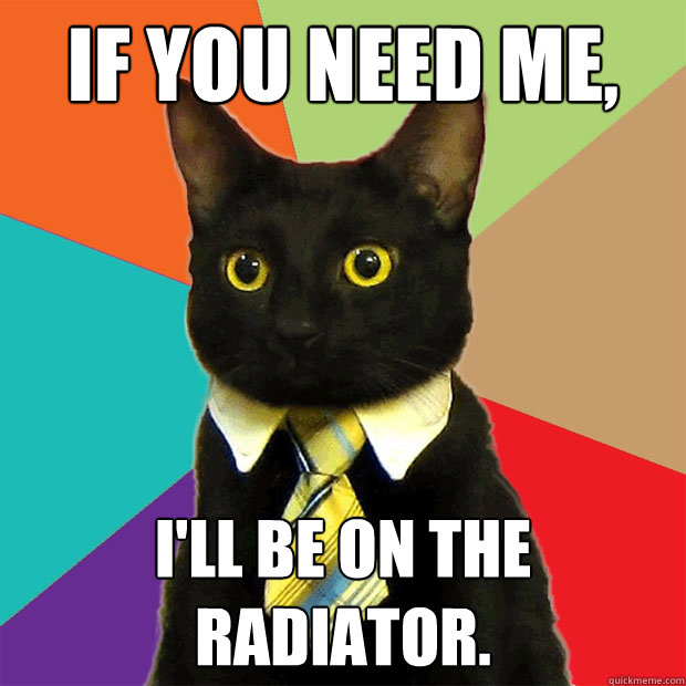 If you need me, I'll be on the radiator.  Business Cat
