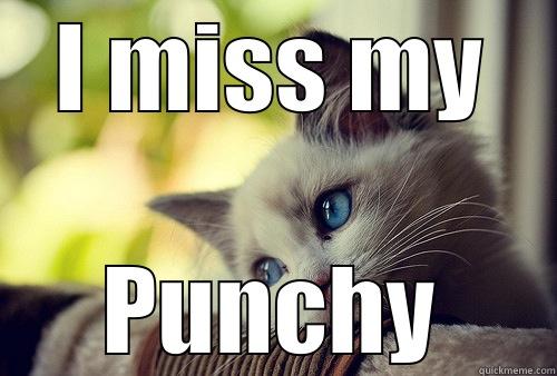 I MISS MY PUNCHY First World Problems Cat