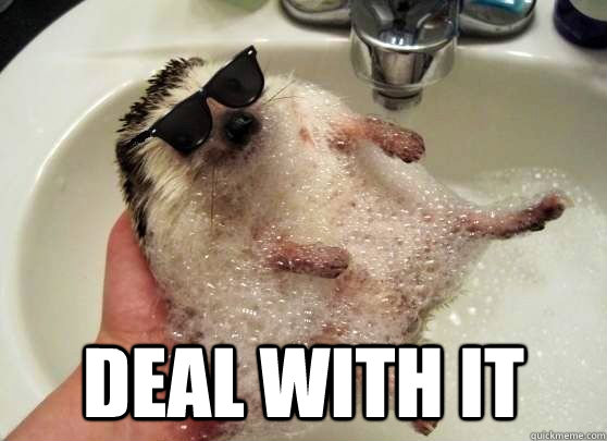  Deal with it  Deal With it Hedgehog