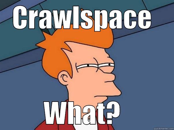 CRAWLSPACE  WHAT?  Futurama Fry