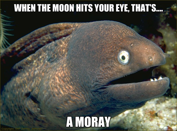 WHEN THE MOON HITS YOUR EYE, THAT'S.... A MORAY
  Bad Joke Eel
