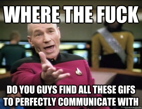 Where the fuck do you guys find all these GIFS to perfectly communicate with  - Where the fuck do you guys find all these GIFS to perfectly communicate with   Annoyed Picard HD