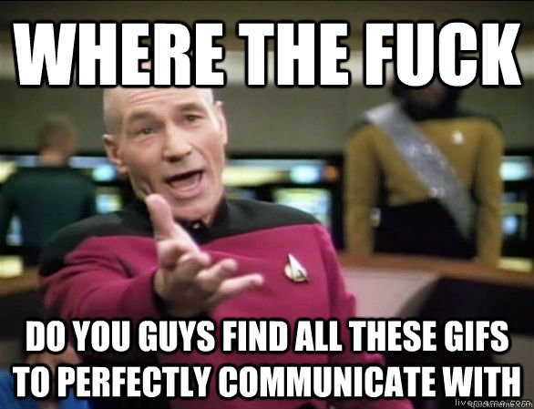 Where the fuck do you guys find all these GIFS to perfectly communicate with   Annoyed Picard HD