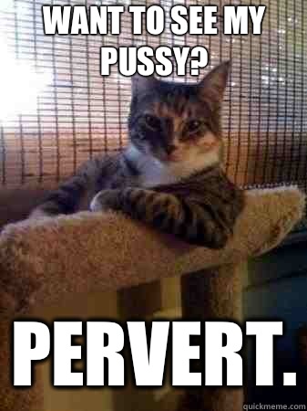 want to see my pussy? pervert.  The Most Interesting Cat in the World