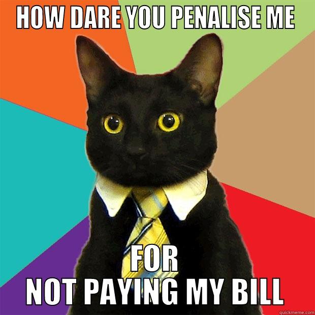 HOW DARE YOU PENALISE ME FOR NOT PAYING MY BILL Business Cat