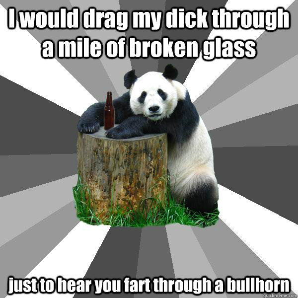 I would drag my dick through a mile of broken glass just to hear you fart through a bullhorn  Pickup-Line Panda