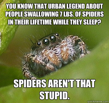 You know that urban legend about people swallowing 7 Lbs. of spiders in their lifetime while they sleep? Spiders aren't that stupid.  Misunderstood Spider
