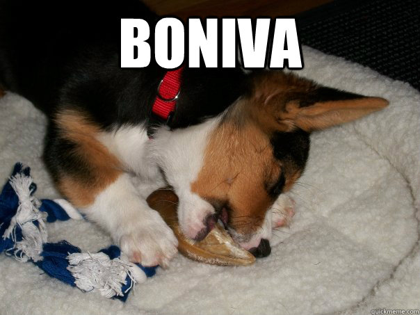 boniva  