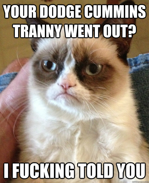 Your Dodge Cummins Tranny went out? I fucking told you - Your Dodge Cummins Tranny went out? I fucking told you  Grumpy Cat