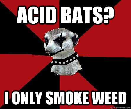 Acid Bats? I only smoke weed - Acid Bats? I only smoke weed  Mallgoth Meerkat