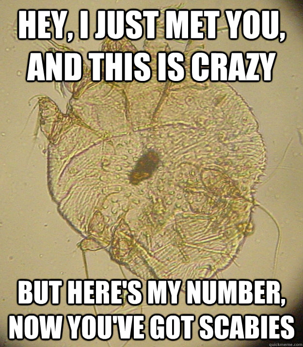 Hey, I just met you, and this is crazy But here's my number, now you've got scabies - Hey, I just met you, and this is crazy But here's my number, now you've got scabies  Friendly scabies infestation