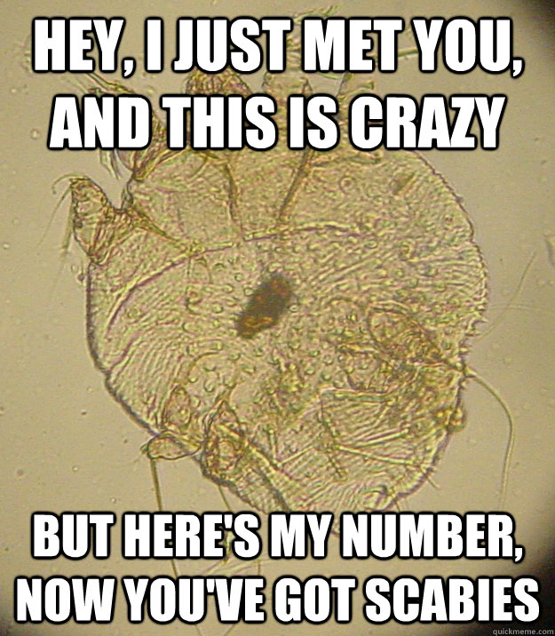 Hey, I just met you, and this is crazy But here's my number, now you've got scabies  Friendly scabies infestation