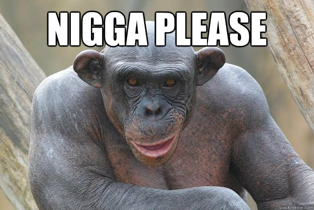 nigga please   The Most Interesting Chimp In The World