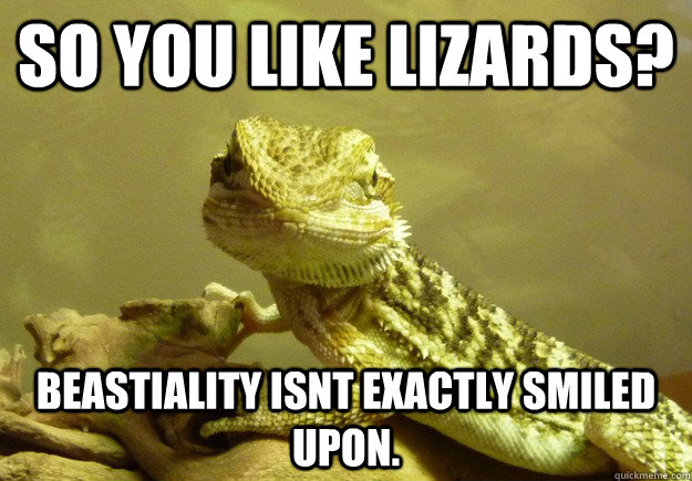 So you like lizards? Beastiality isnt exactly smiled upon.  