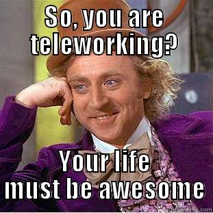 Teleworking in winter - SO, YOU ARE TELEWORKING? YOUR LIFE MUST BE AWESOME Condescending Wonka