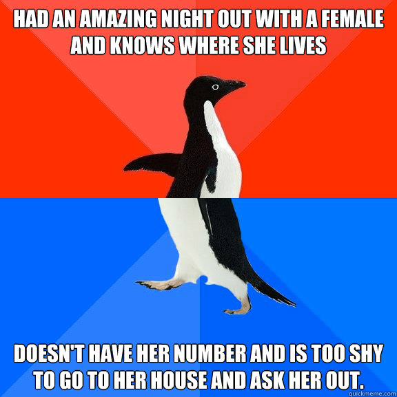 had an amazing night out with a female and knows where she lives doesn't have her number and is too shy to go to her house and ask her out.  Socially Awesome Awkward Penguin