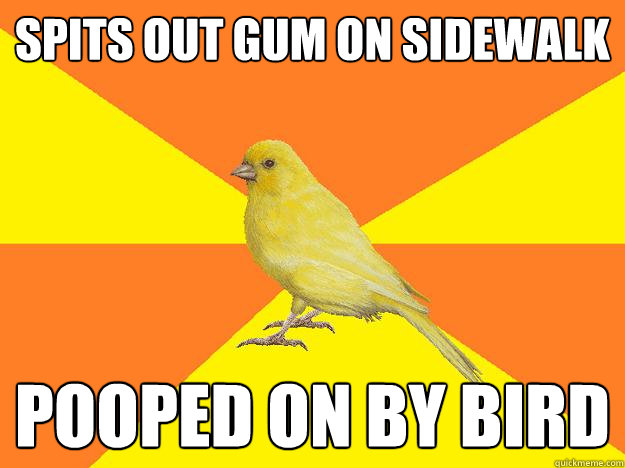Spits out gum on sidewalk pooped on by bird - Spits out gum on sidewalk pooped on by bird  Instant Karma Canary