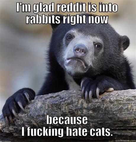 I'M GLAD REDDIT IS INTO RABBITS RIGHT NOW BECAUSE I FUCKING HATE CATS. Confession Bear