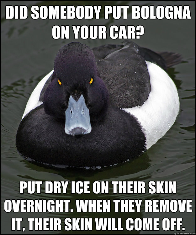 Did somebody put bologna on your car? put dry ice on their skin overnight. When they remove it, their skin will come off. - Did somebody put bologna on your car? put dry ice on their skin overnight. When they remove it, their skin will come off.  Revenge Duck
